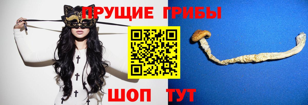 Псилоцибиновые грибы Magic Shrooms Кировск