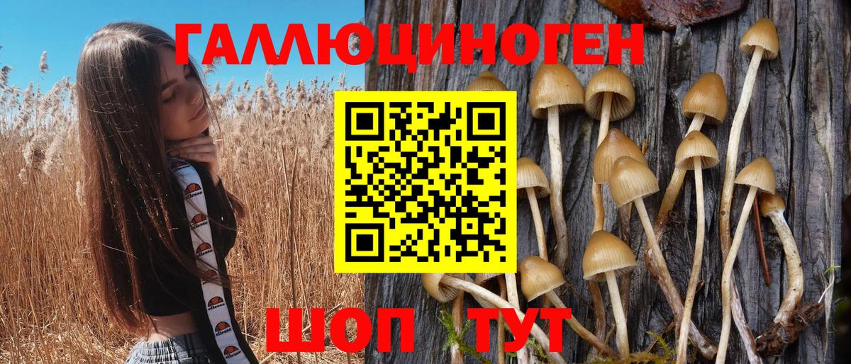 Галлюциногенные грибы мухоморы  Галлюциногенные грибы мицелий  Вход с VPN  Кировск 